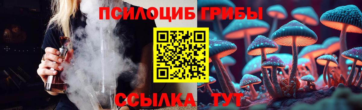 Псилоцибиновые грибы Psilocybe  где найти наркотики  Псилоцибиновые грибы Psilocybe  Янаул  Вход с VPN 