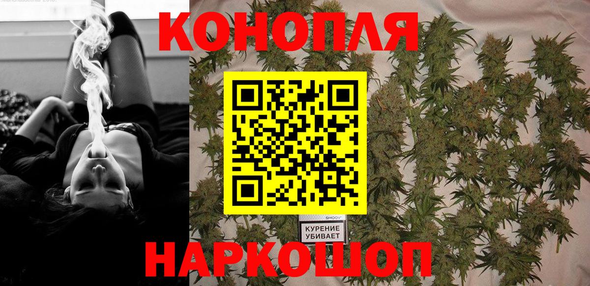 Конопля тримм  Бошки Шишки White Widow  Вход с VPN  Янаул  Бошки Шишки план 